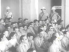 激動の昭和史 世紀の爪跡