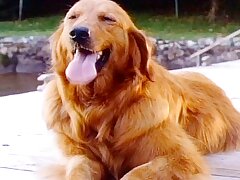 デコレーション・デイ 30年目の勲章